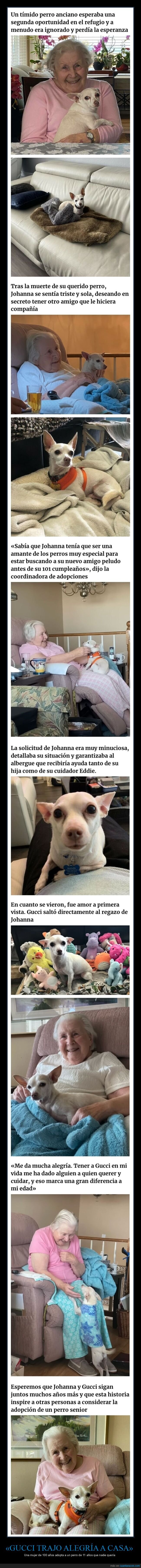perro,adopción,100 años
