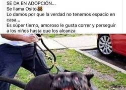 Enlace a Muy tierno y cariñoso