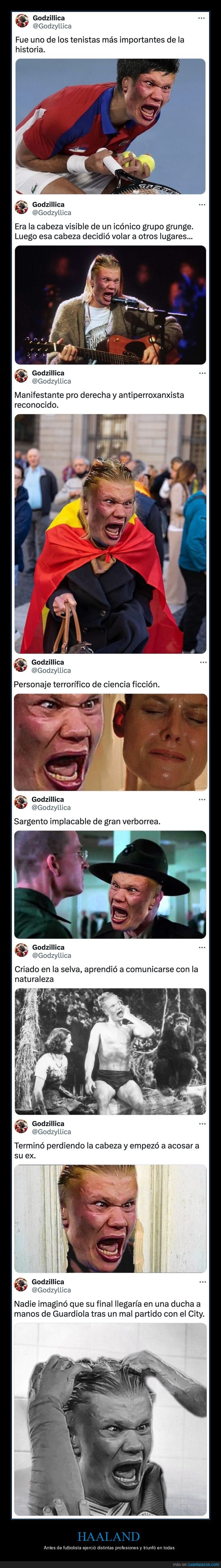 haaland,profesiones,cara