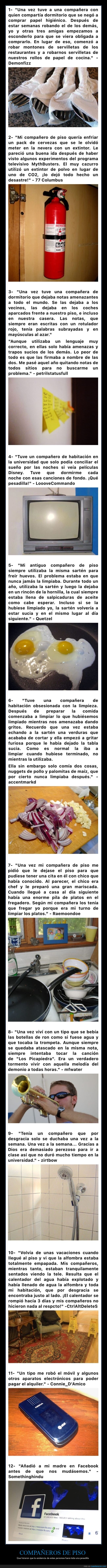 compañeros de piso,convivencia