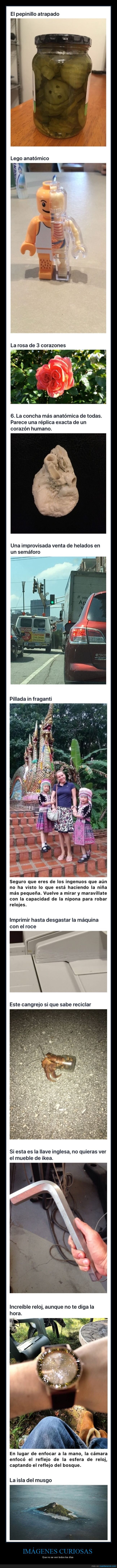 imágenes curiosas,curiosidades