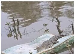 Enlace a Una profecía cumplida