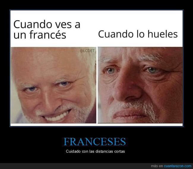 francés,oler,ver