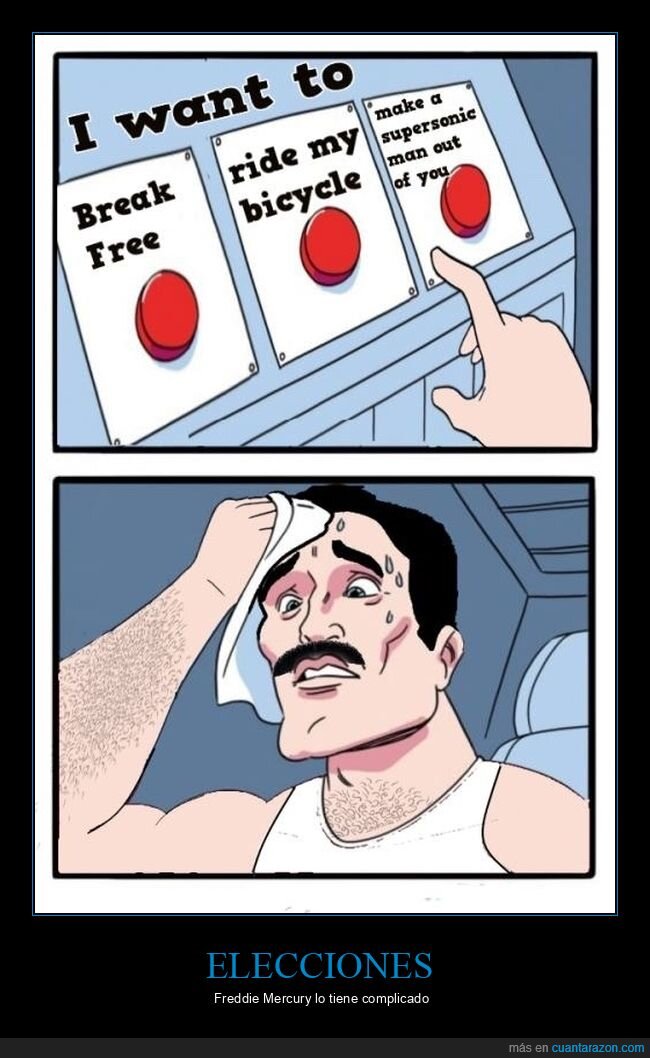 freddie mercury,gatos