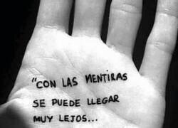 Enlace a El camino de las mentiras