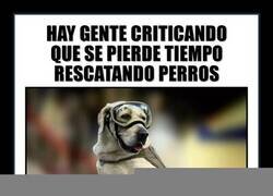 Enlace a Hay que devolverles el favor