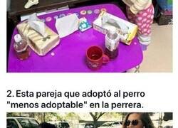 Enlace a Imágenes que te devolverán la fe en la humanidad