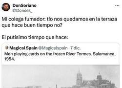 Enlace a Un día precioso para estar en una terraza