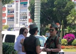 Enlace a Las novias de la muerte