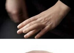 Enlace a Idea para delincuentes