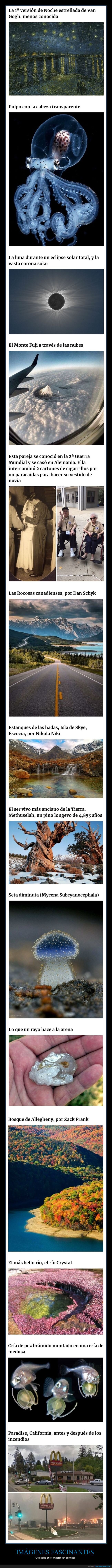 im&aacute;genes fascinantes,curiosidades