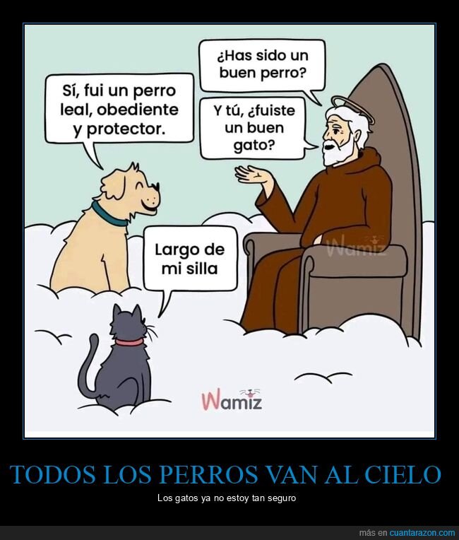 perro,gato,cielo,dios,silla