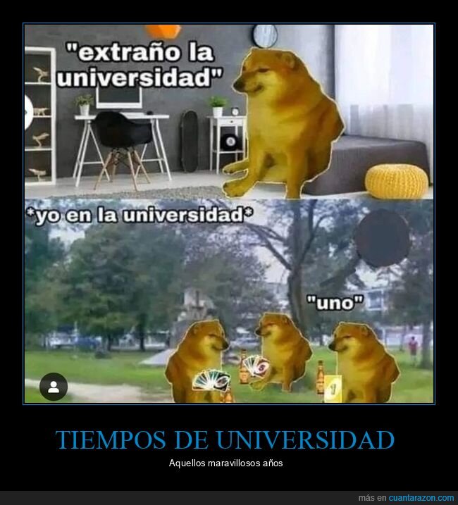 universidad,echar de menos