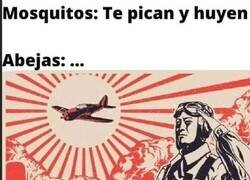 Enlace a A las abejas no les importa morir por su reina