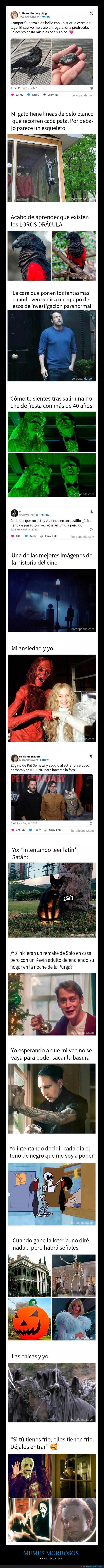 memes morbosos,terror