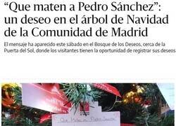 Enlace a Deseo navideño