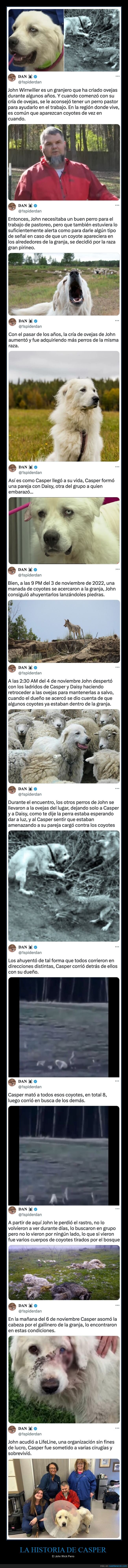 perros,ovejas,coyotes