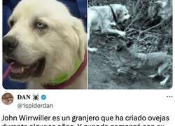 Enlace a La Historia Completa de Casper, el John Wick Perro