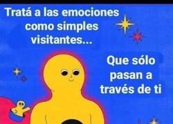 Enlace a Consejo de salud mental