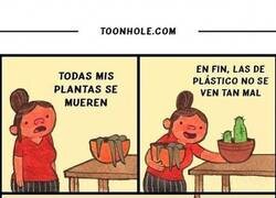 Enlace a Las plantas no son lo suyo