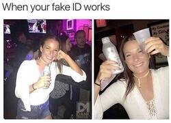 Enlace a Cuando tu carnet falso funciona