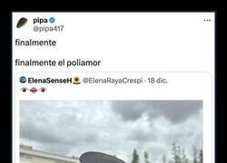 Enlace a Poliamor literal