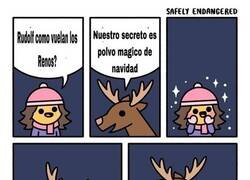 Enlace a El polvo mágico de navidad