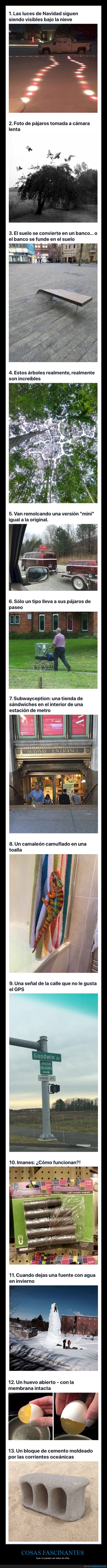 cosas fascinantes,curiosidades