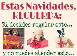Enlace a Escoge bien tus regalos