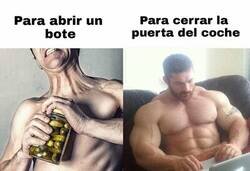 Enlace a NIVEL DE FUERZA