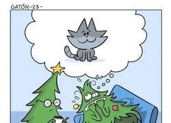 Enlace a La ansiedad que deben tener los árboles, pobres