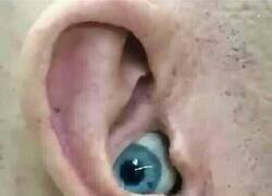 Enlace a Mirar un audio