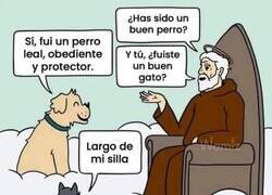 Enlace a GATOS Y PERROS