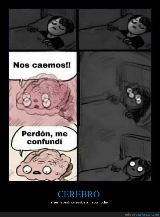 cerebro,susto,confundirse,caerse,cama