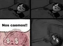 Enlace a CEREBRO