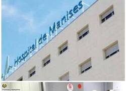 Enlace a MANISES