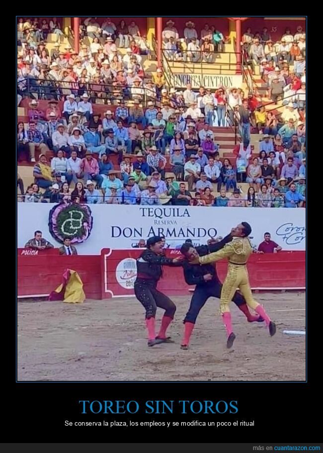 toreo,plaza,puñetazos