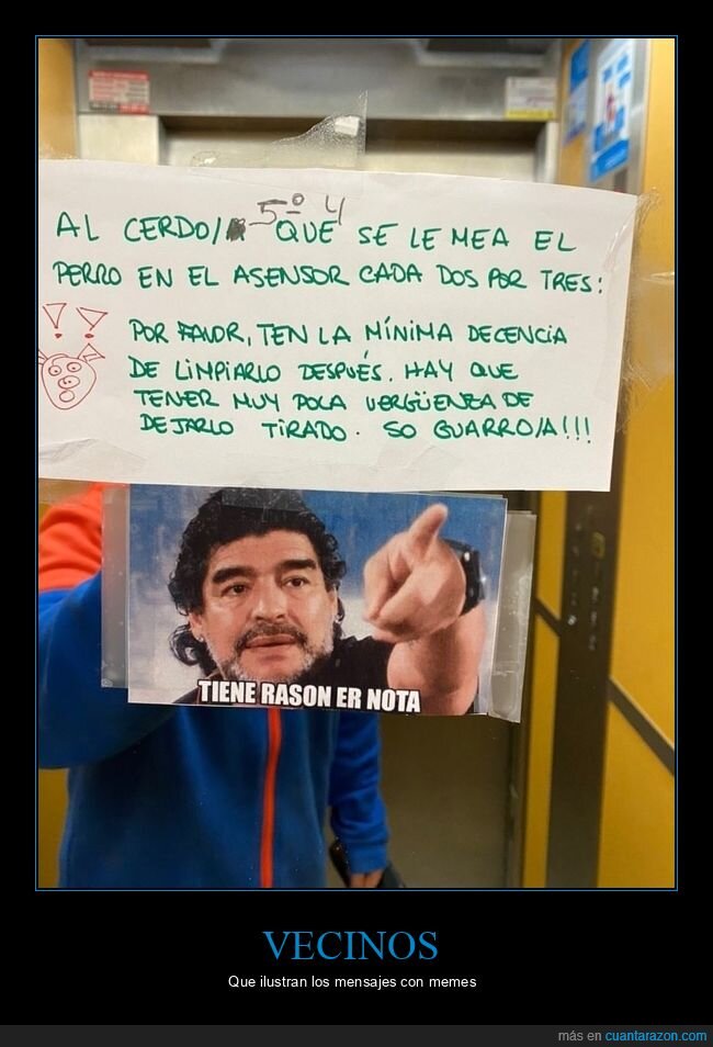 cartel,vecinos,perro,memes