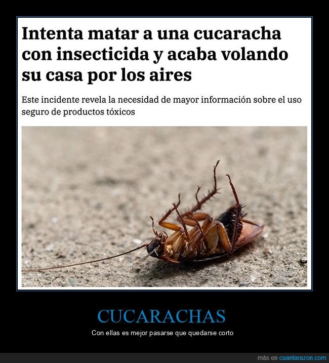 casa,cucaracha,fails,matar