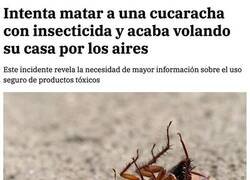 Enlace a Acciones contundentes