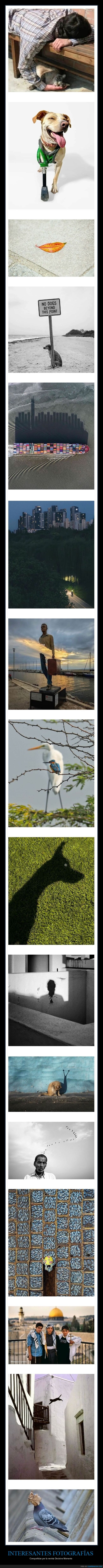 fotograf&iacute;as,decisive moments