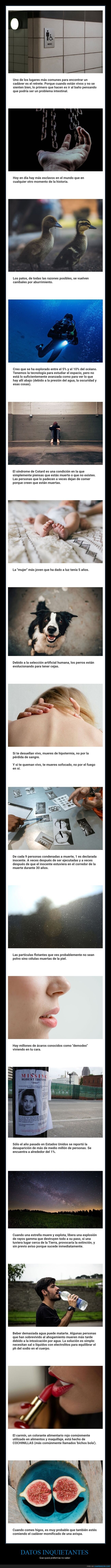 datos inquietantes,curiosidades