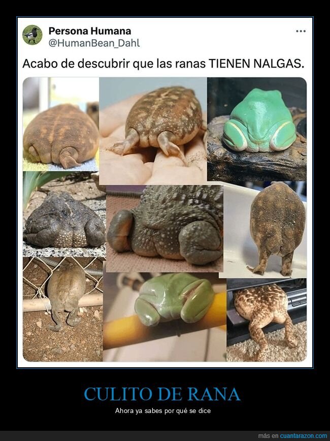 nalgas,ranas