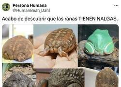 Enlace a Nunca es tarde para descubrir cosas nuevas