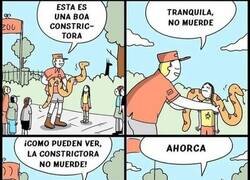Enlace a Aprendiendo sobre fauna