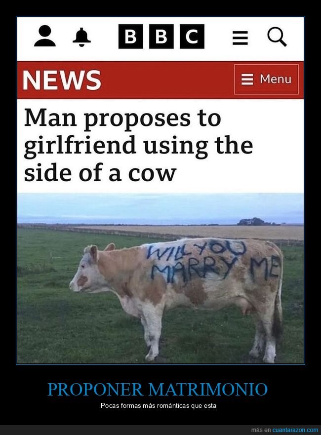 proposición,simpsons,vaca