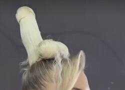 Enlace a El peluquero siguió las instrucciones al pie de la letra