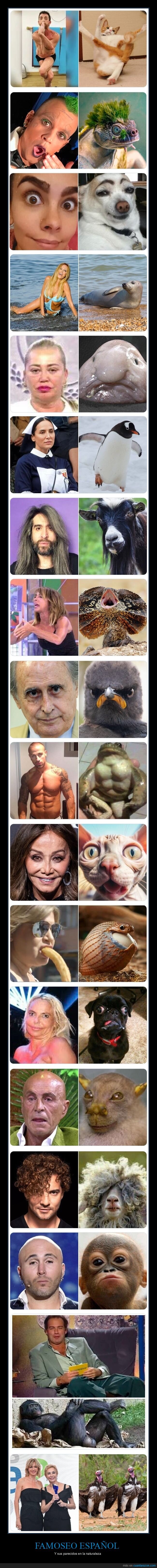 famosos,animales,parecidos