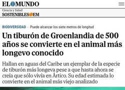 Enlace a El más viejo entre los viejos