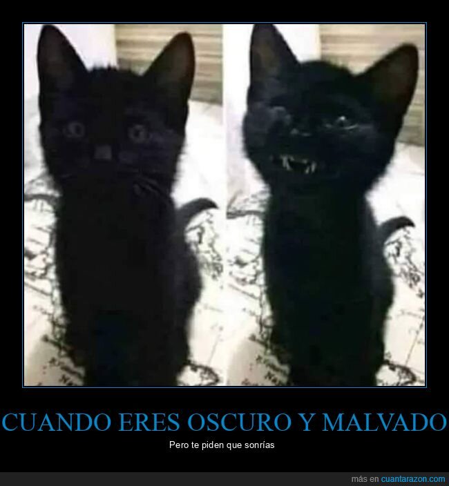 gato,oscuro,malvado,sonreír